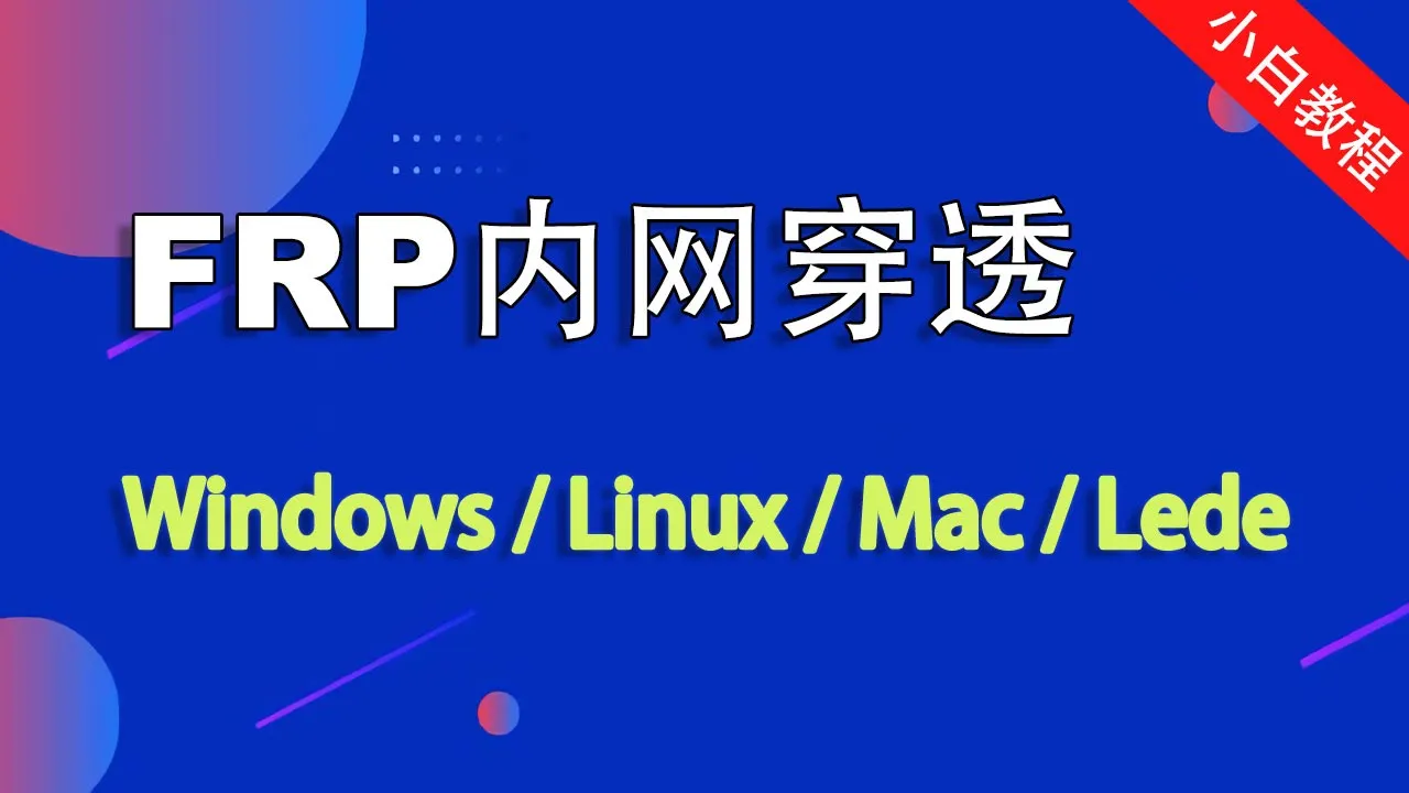 FRP 公网服务端与内网客户端连接结构的主题画面