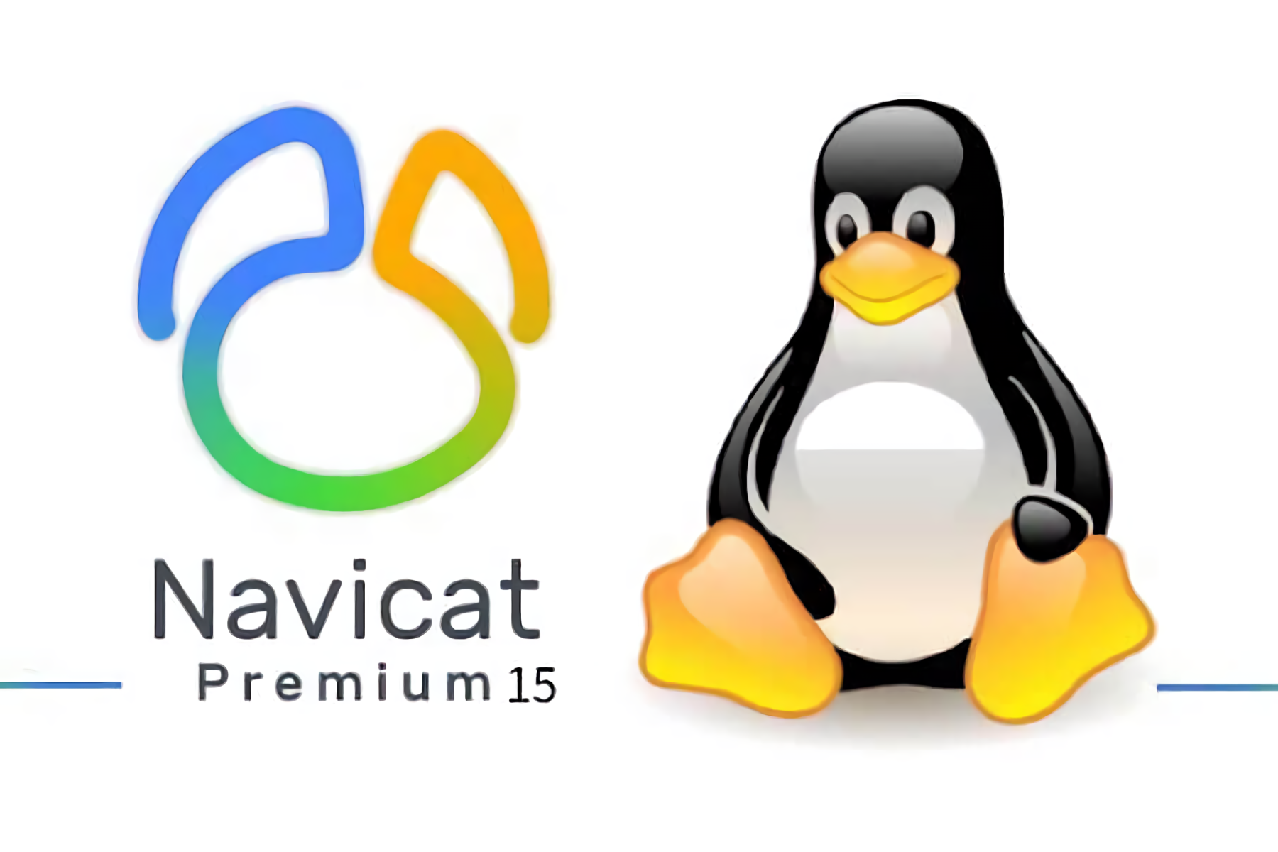 Ubuntu 18.04 上的 Navicat Premium 安装与桌面快捷方式示意