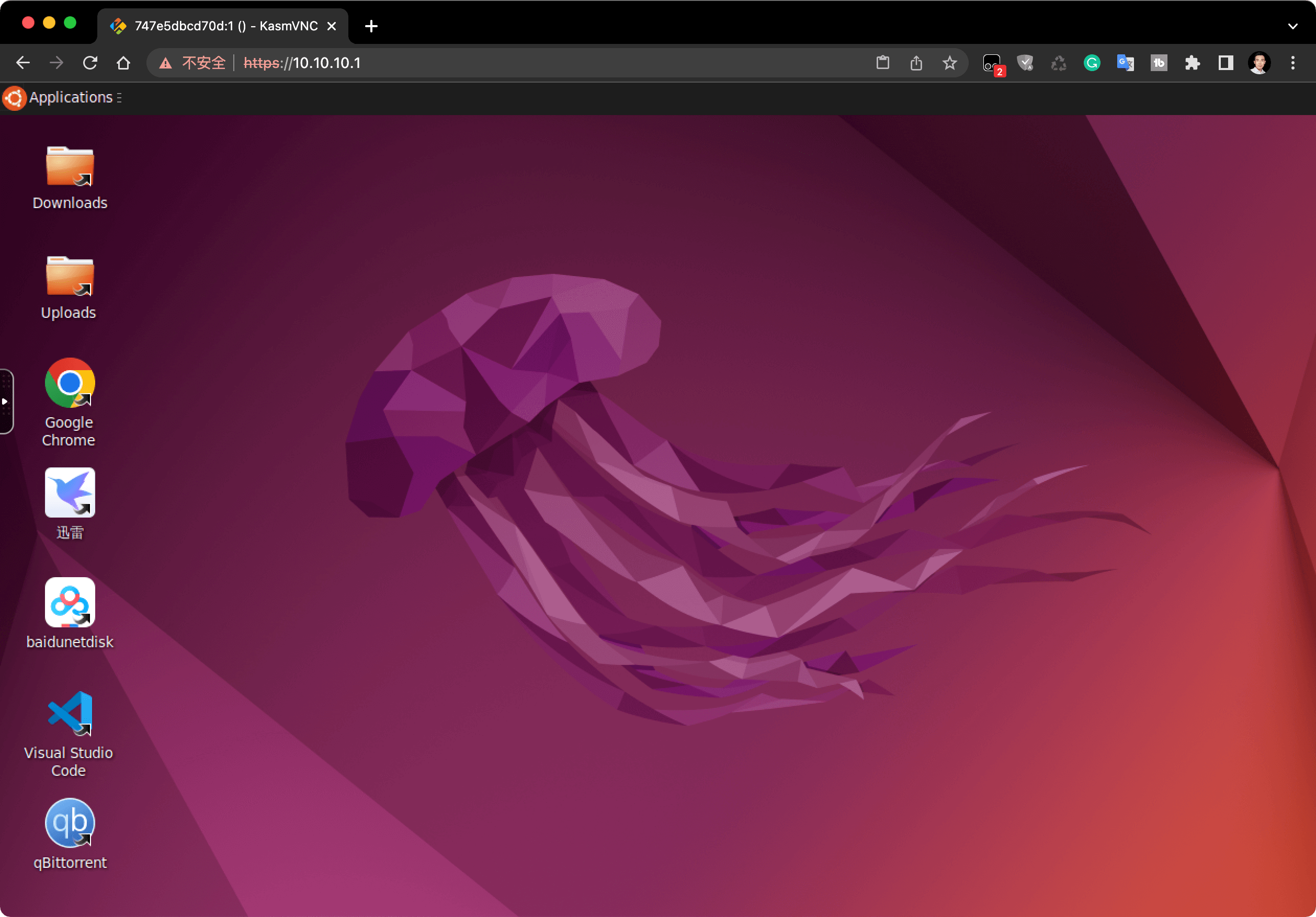 Ubuntu 下载工具容器运行界面